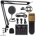Kit micro BM-800 avec carte son V8 – vue 1