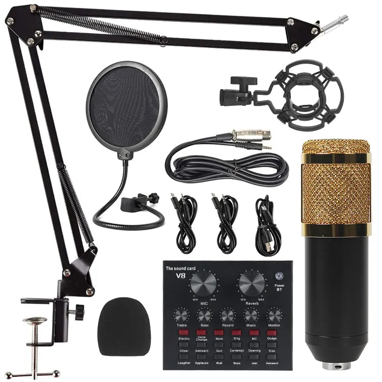 Kit micro BM-800 avec carte son V8 – vue 1
